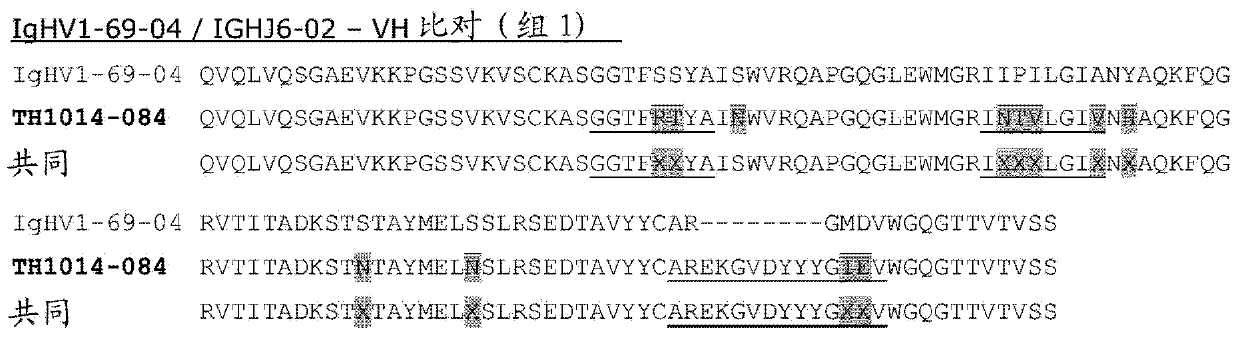 Bispecifc antibodies against HER2