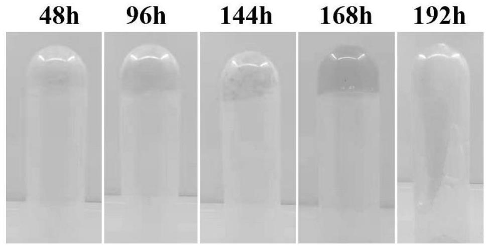 Triple shape memory cyanate ester and preparation method thereof