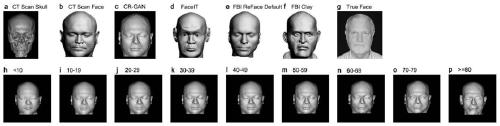 A Craniofacial Restoration Method Based on Deep Generative Adversarial Network