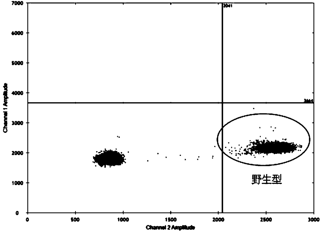 Primers, reagent kit and method for detecting IDH1 (isocitrate dehydrogenase 1) R132H gene variation by aid of ddPCR (droplet digital polymerase chain reaction) technologies