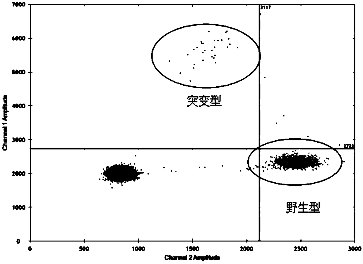 Primers, reagent kit and method for detecting IDH1 (isocitrate dehydrogenase 1) R132H gene variation by aid of ddPCR (droplet digital polymerase chain reaction) technologies