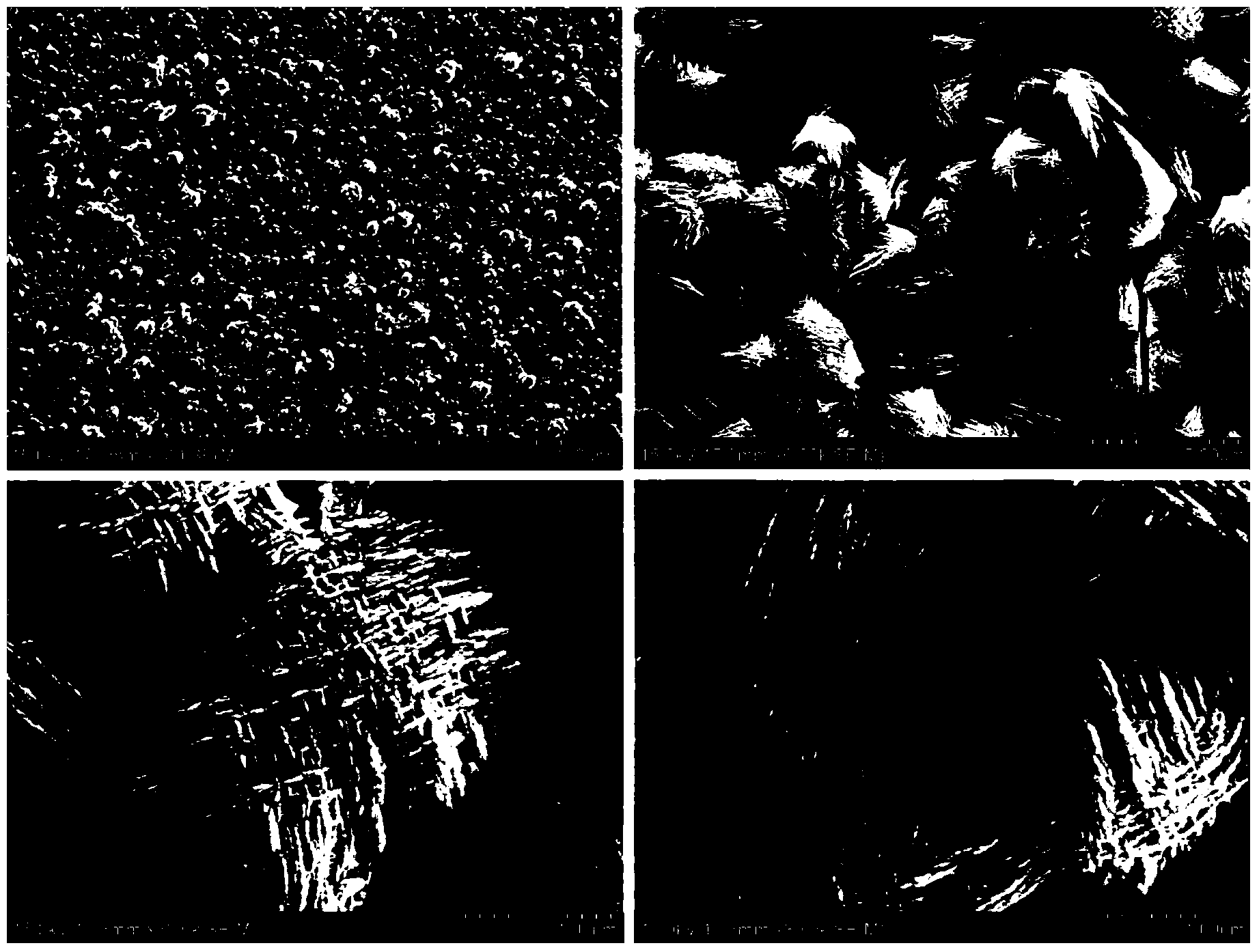 Preparation method of zinc phosphate chemical conversion coating in hierarchical structure