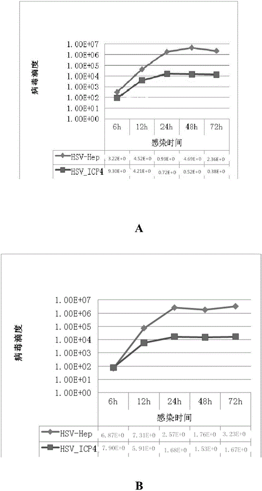 Recombinant herpes simplex virus HSV-hTERTp_ICP4_Hep-GFP and corresponding diagnostic kit thereof