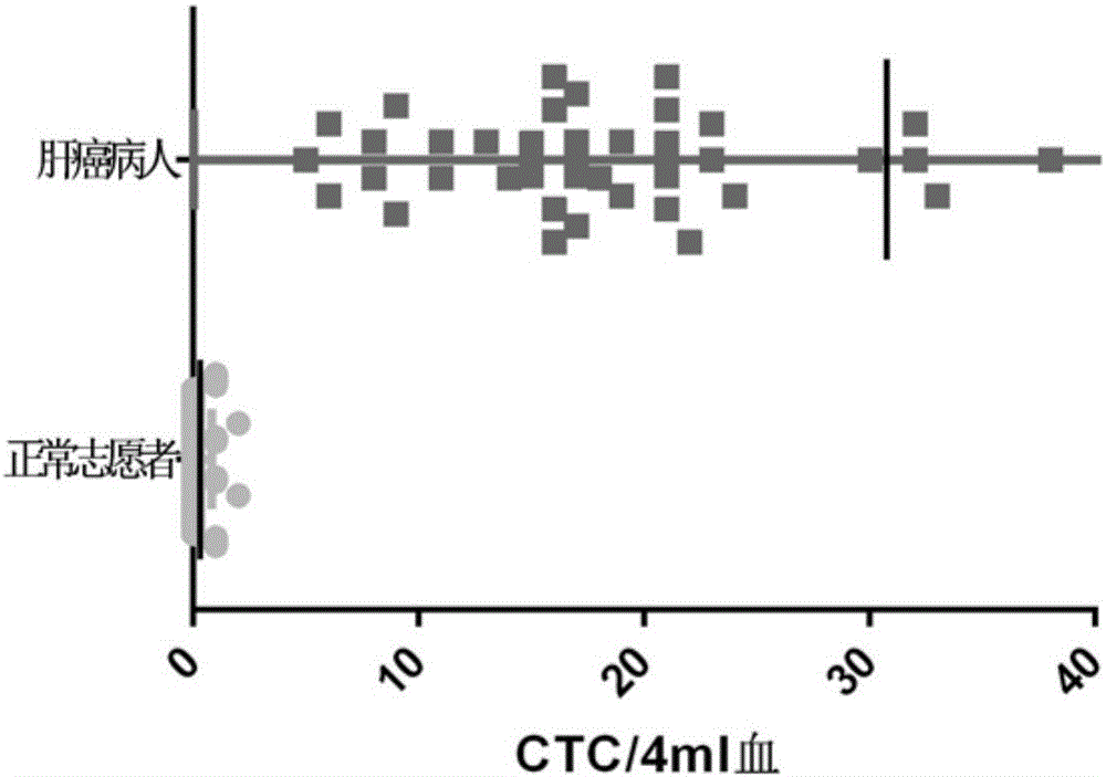 Recombinant herpes simplex virus HSV-hTERTp_ICP4_Hep-GFP and corresponding diagnostic kit thereof