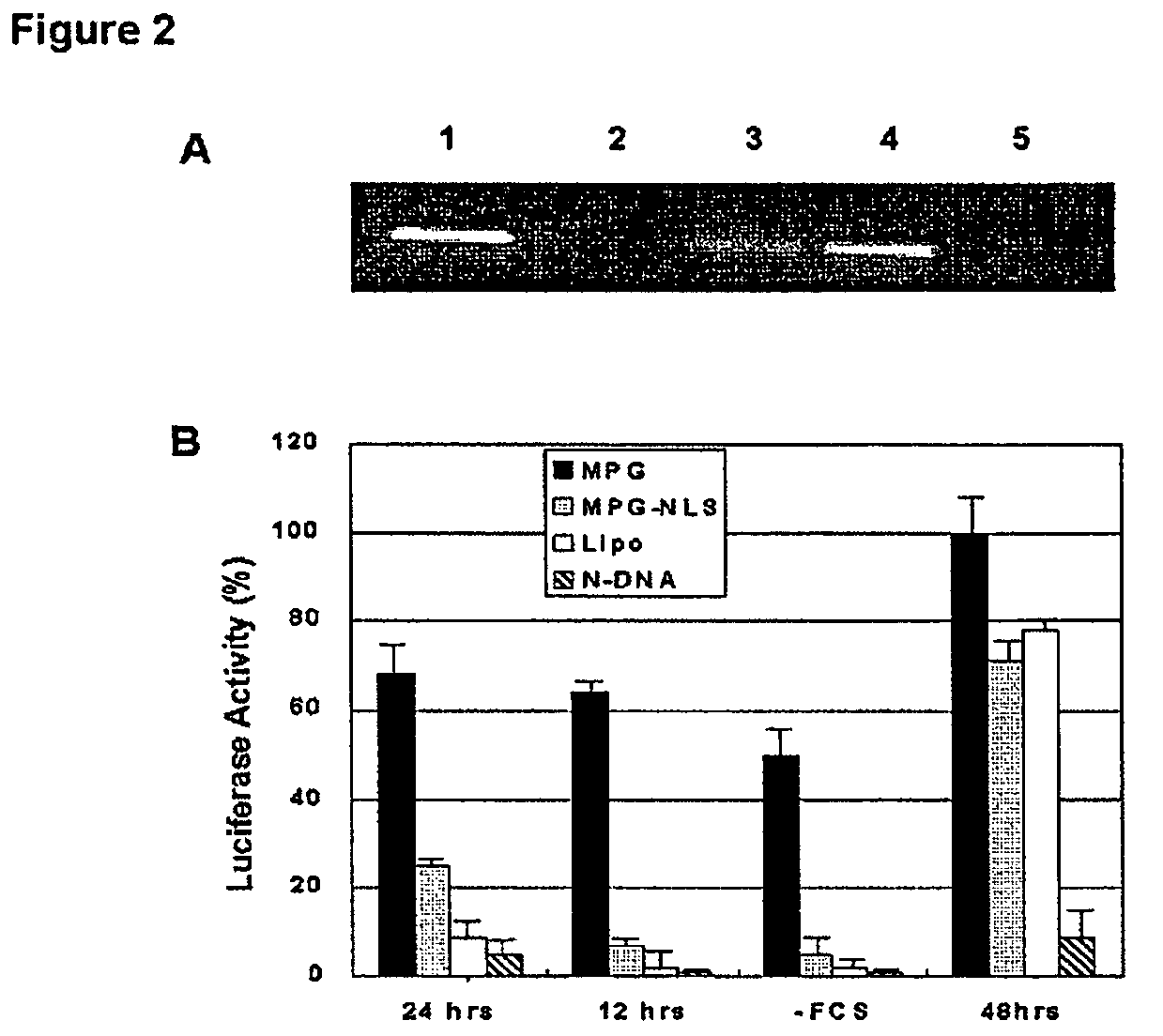 Peptide carrier for delivering siRNA into mammalian cells