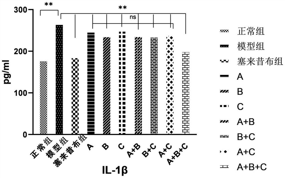 Aqueous extract of anti-inflammatory traditional Chinese medicine compound, pharmaceutical composition and application