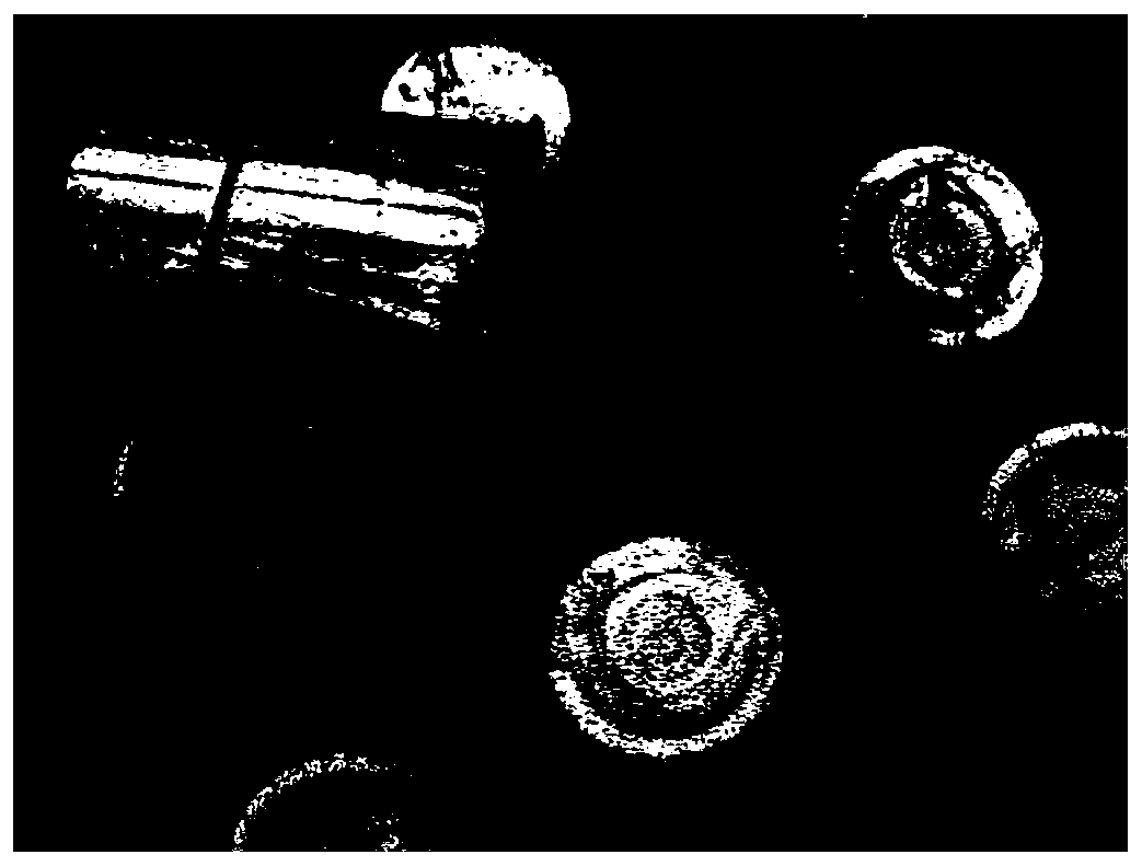 A method for field planting of peach tree embryo seedlings in the same year