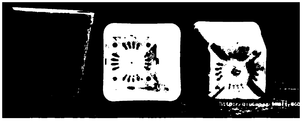 A method for field planting of peach tree embryo seedlings in the same year