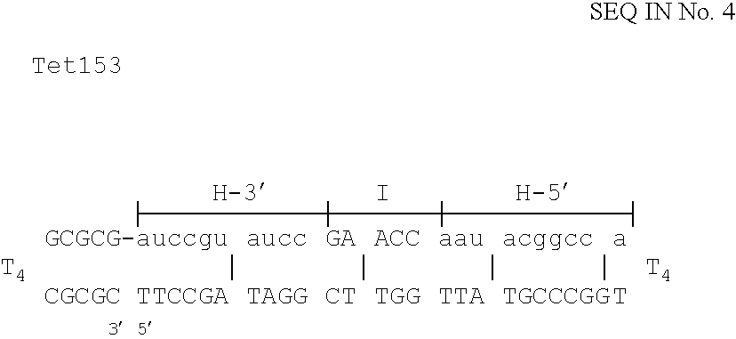 Eukaryotic use of improved chimeric mutational vectors