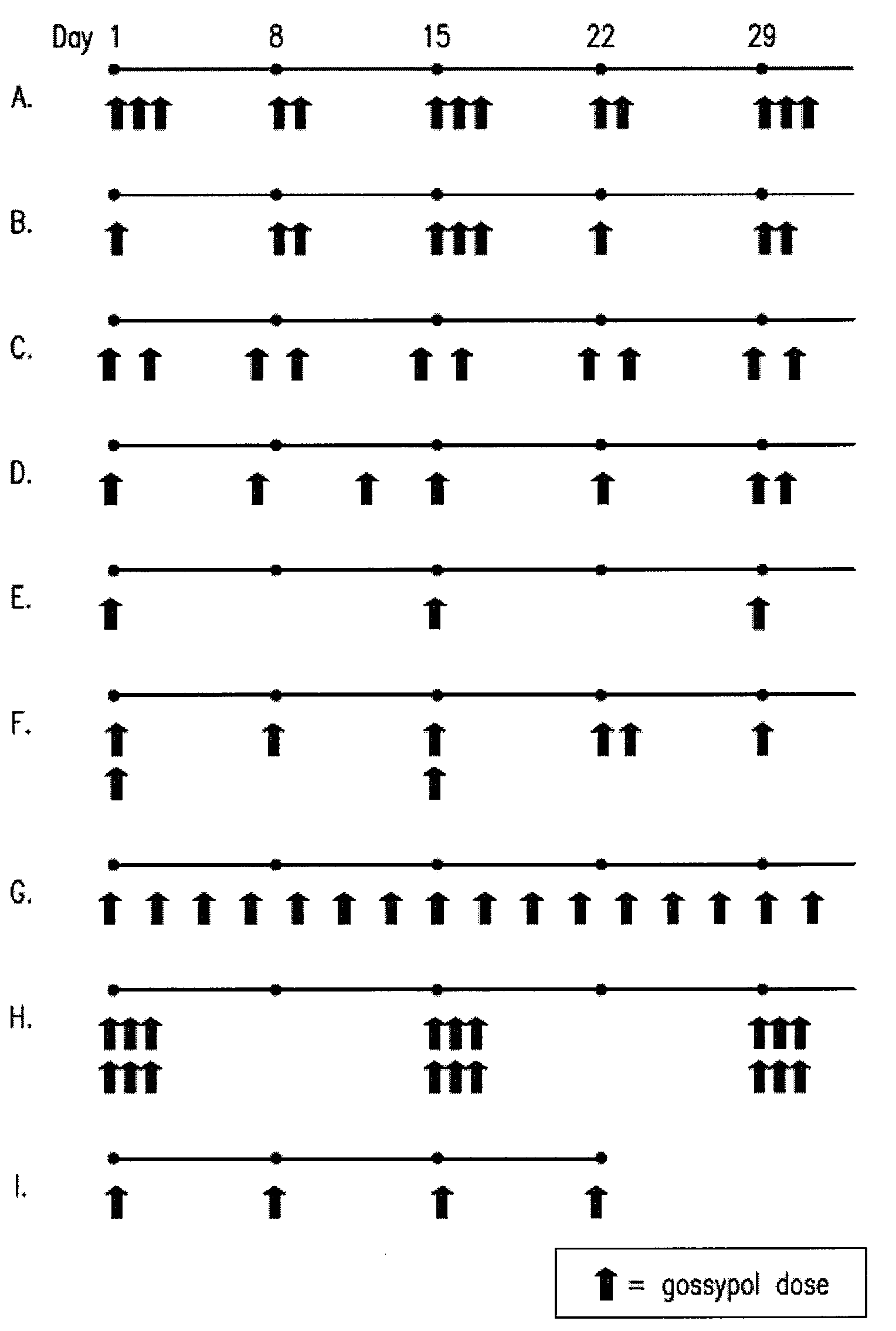 Pulsatile Dosing of Gossypol for Treatment of Disease