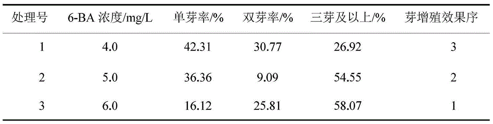 Tissue culture seedling raising method for Hesong grass