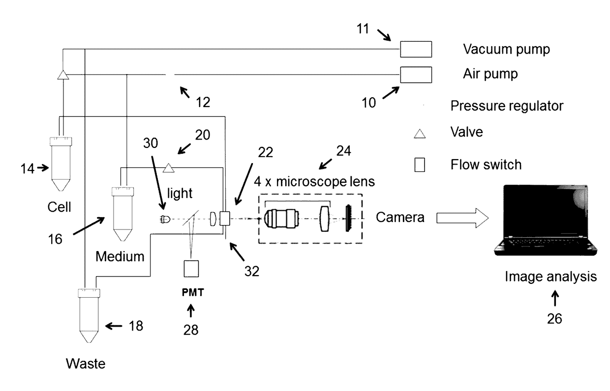 Method and apparatus for bulk microparticle sorting using a microfluidic channel