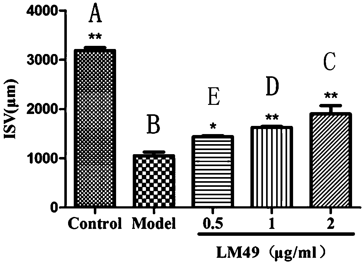 Application of Two Halophenol Compounds in Promoting Angiogenesis