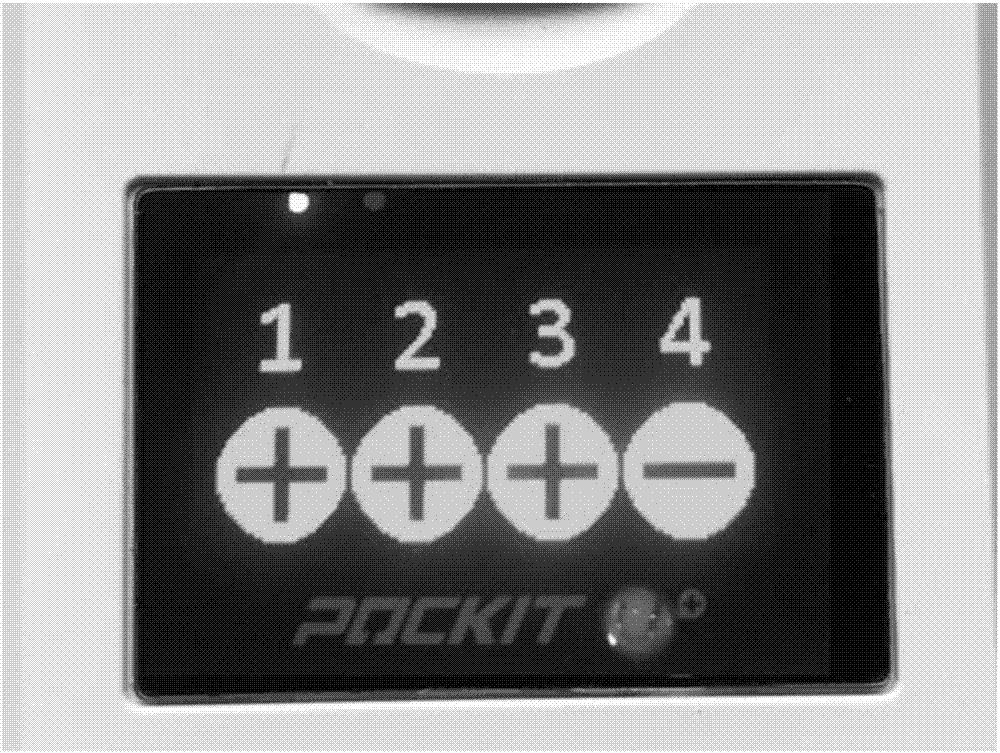 Yak rotavirus detection kit based on constant-temperature isolation type fluorescence PCR (Polymerase Chain Reaction) platform and application