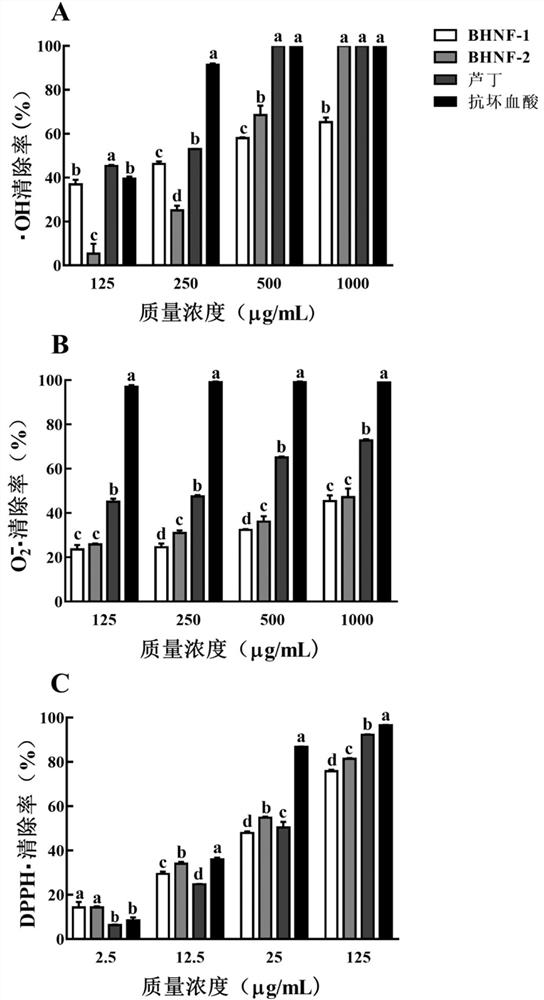 Preparation method of buckwheat husk non-flavonoid substance