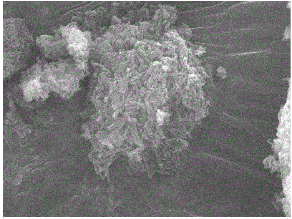 Preparation method and application of novel hierarchical pore composite material