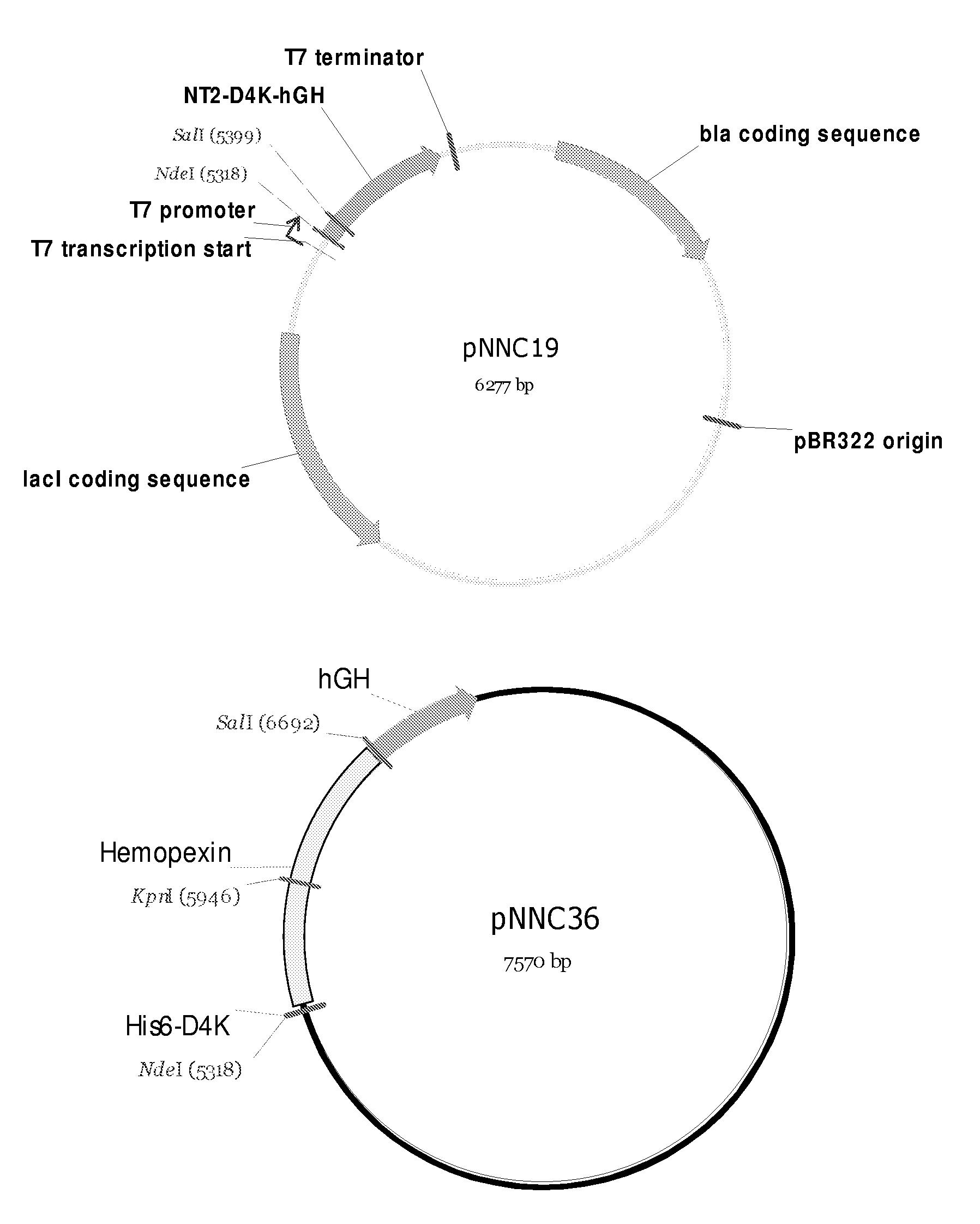 Hemopexin fusion proteins