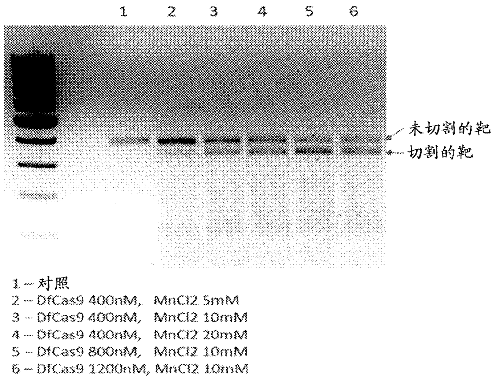 Dna-cutting agent