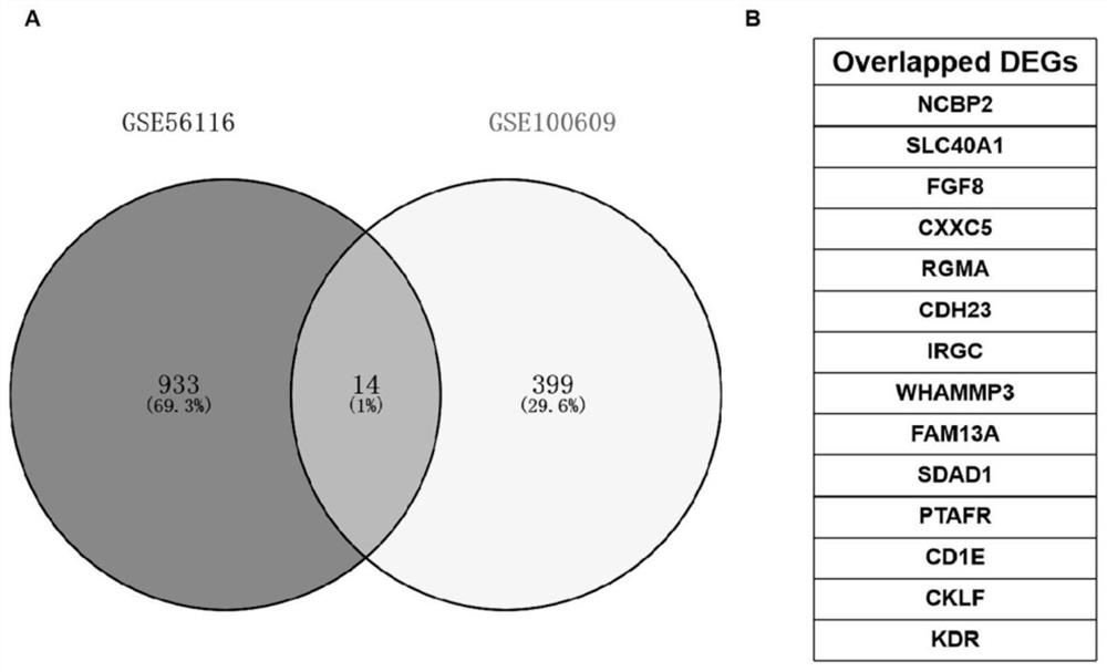 Postmenopausal osteoporosis related gene screening and function analysis method