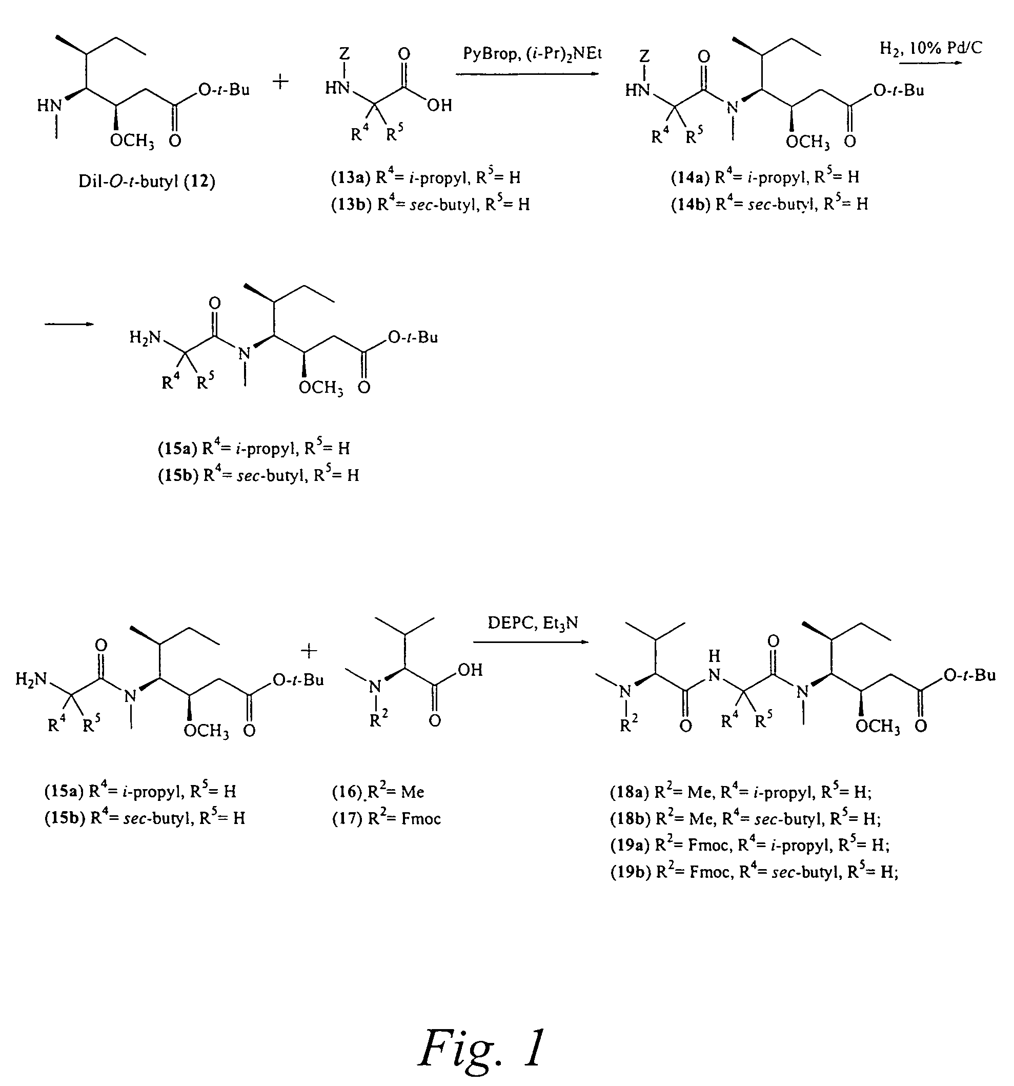 Pentapeptide compounds and uses related thereto