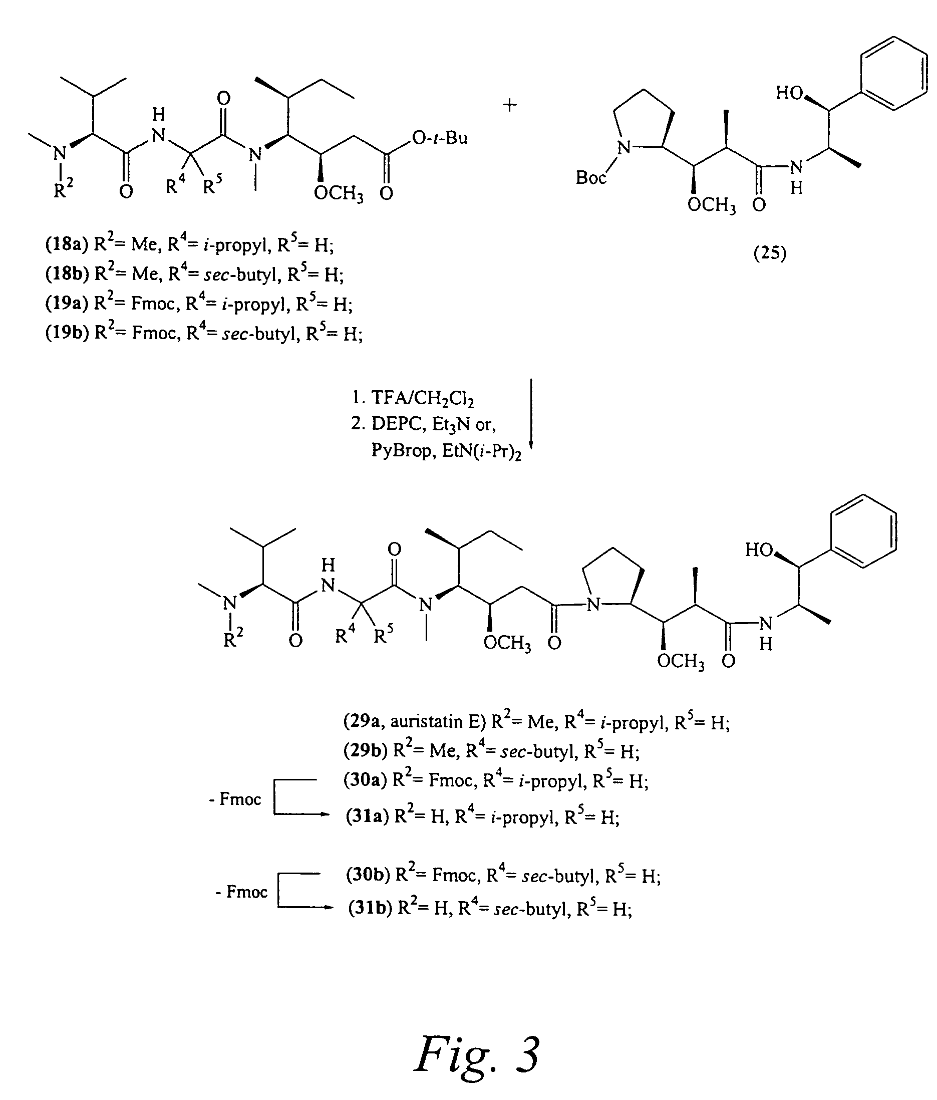 Pentapeptide compounds and uses related thereto