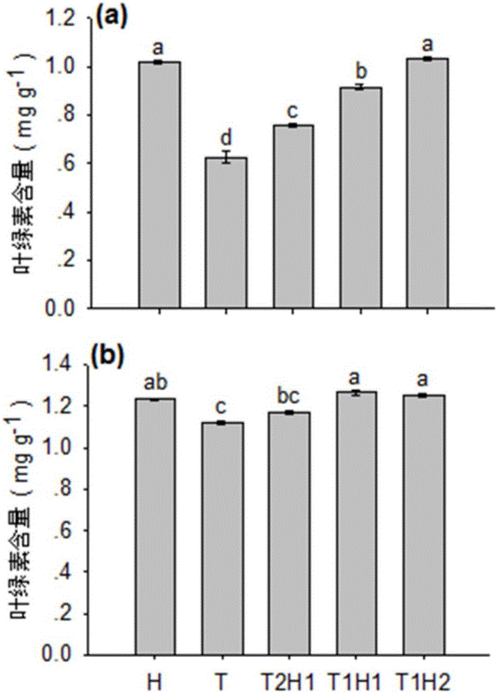 Method for manufacturing compost tea with lawn grass and application of compost tea