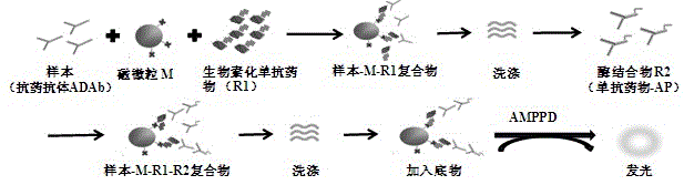 Anti-TNF-alpha monoclonal antibody drug antibody detection reagent kit