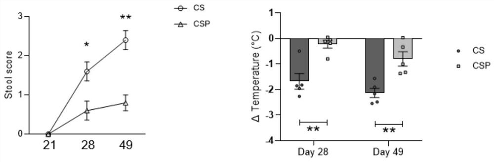 New application of quadruple viable bacterium composition