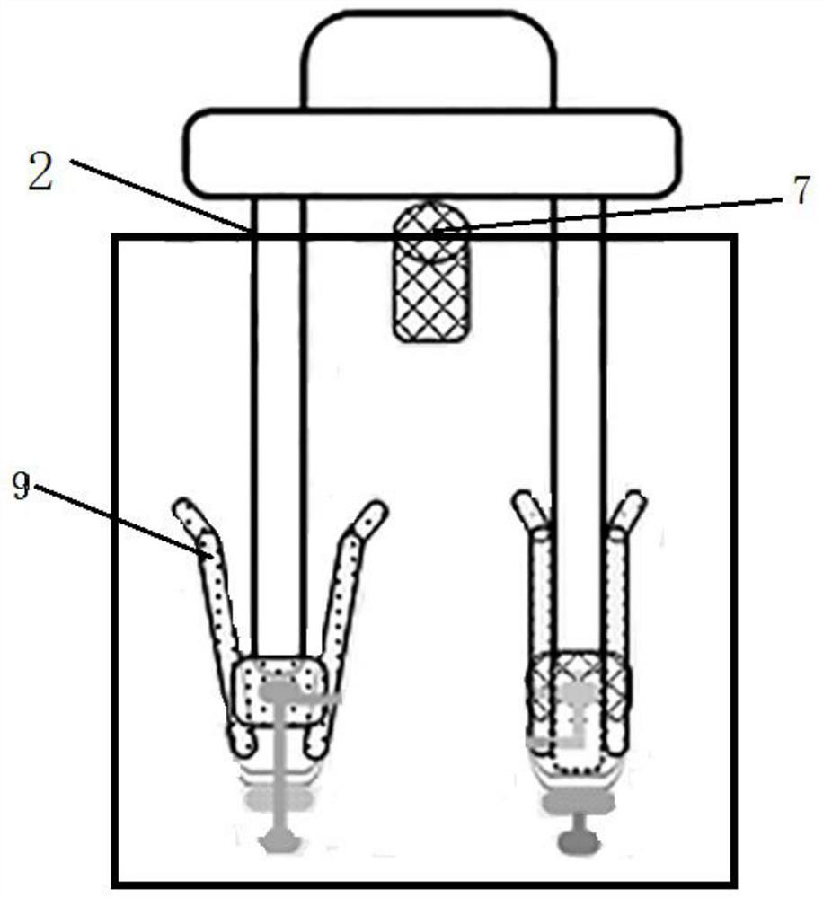 A protective socket with multiple conductive points