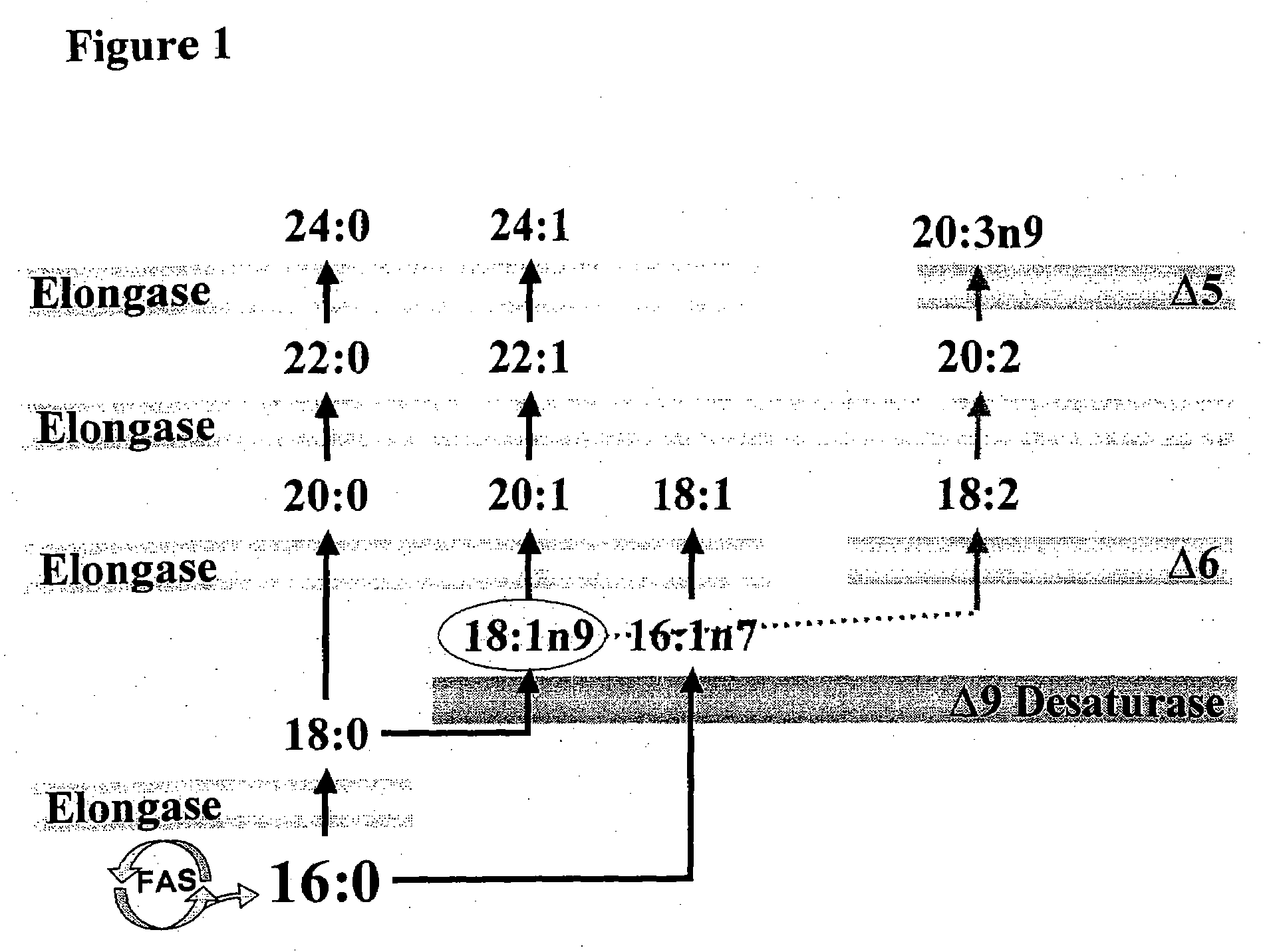 Methods of using quantitative lipid metabolome data