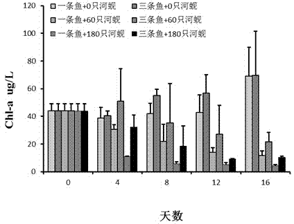 Simulation method for negative effects caused by controlling juvenile fish outbreak by using filter feeding organisms to control ecological rehabilitation project