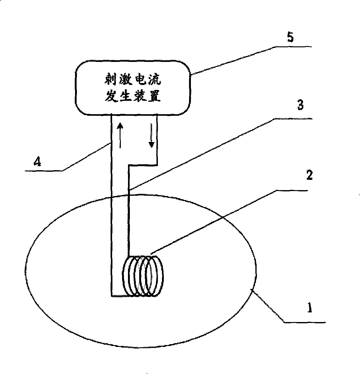 Embedded type device and method for performing magnetic stimulation to nervous tissue by using micro-coil