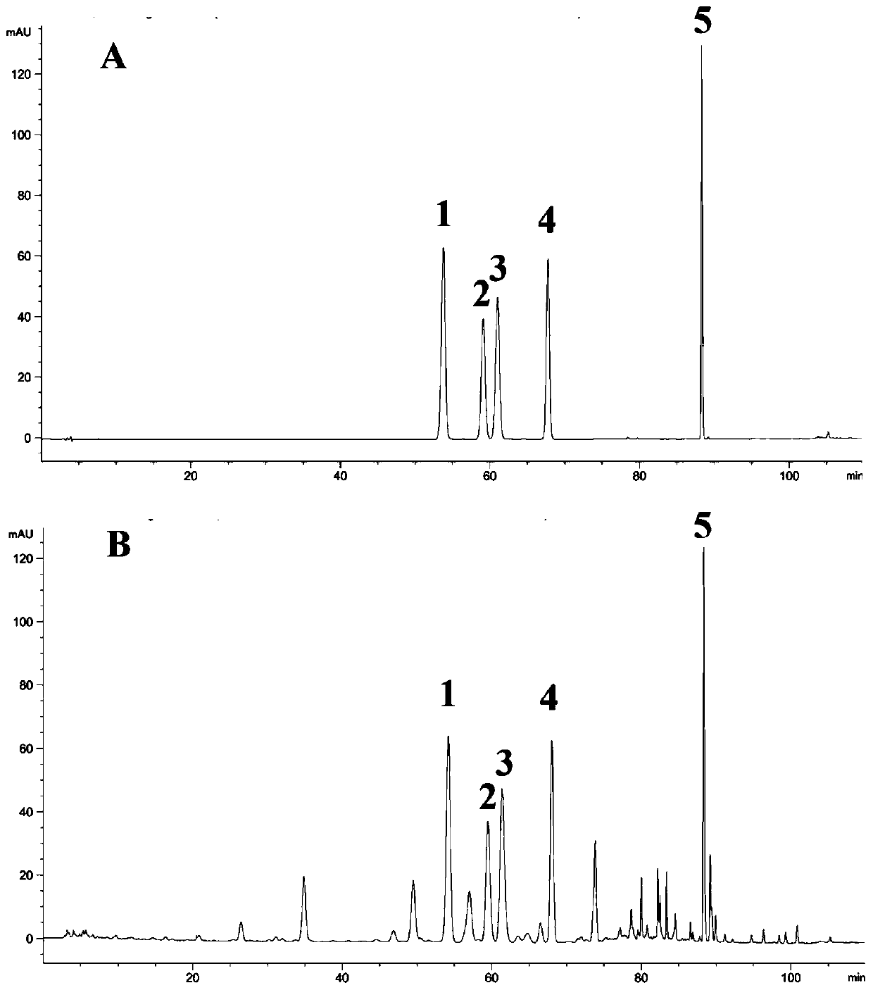 Semen cassiae extract for reducing glucose and lipid and preparing and quality testing method thereof