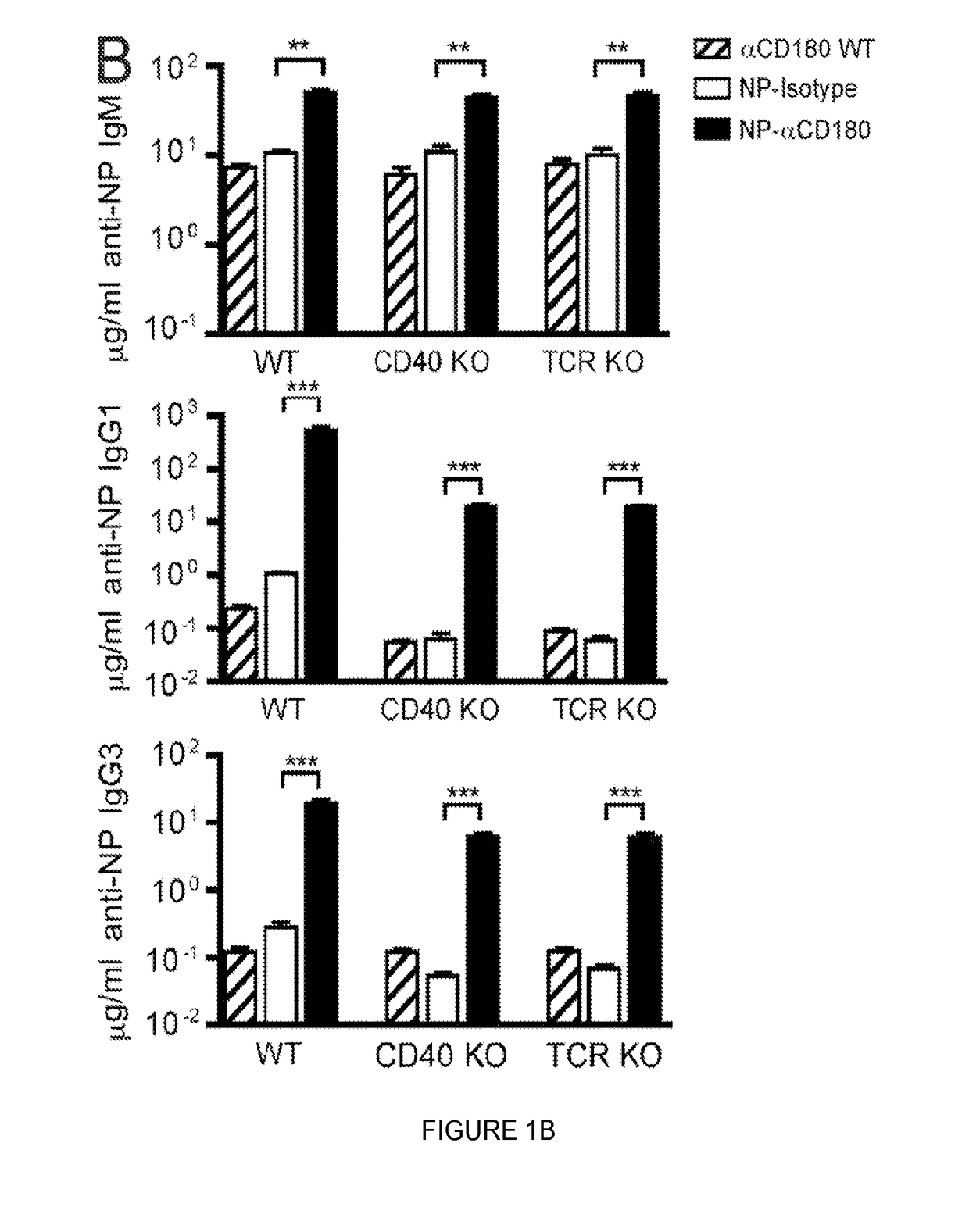 Compositions and methods for antigen targeting to CD180