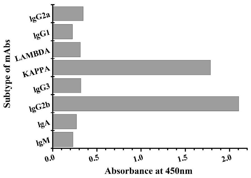 Hybridoma cell strain capable of secreting dicofol monoclonal antibody and application of hybridoma cell strain