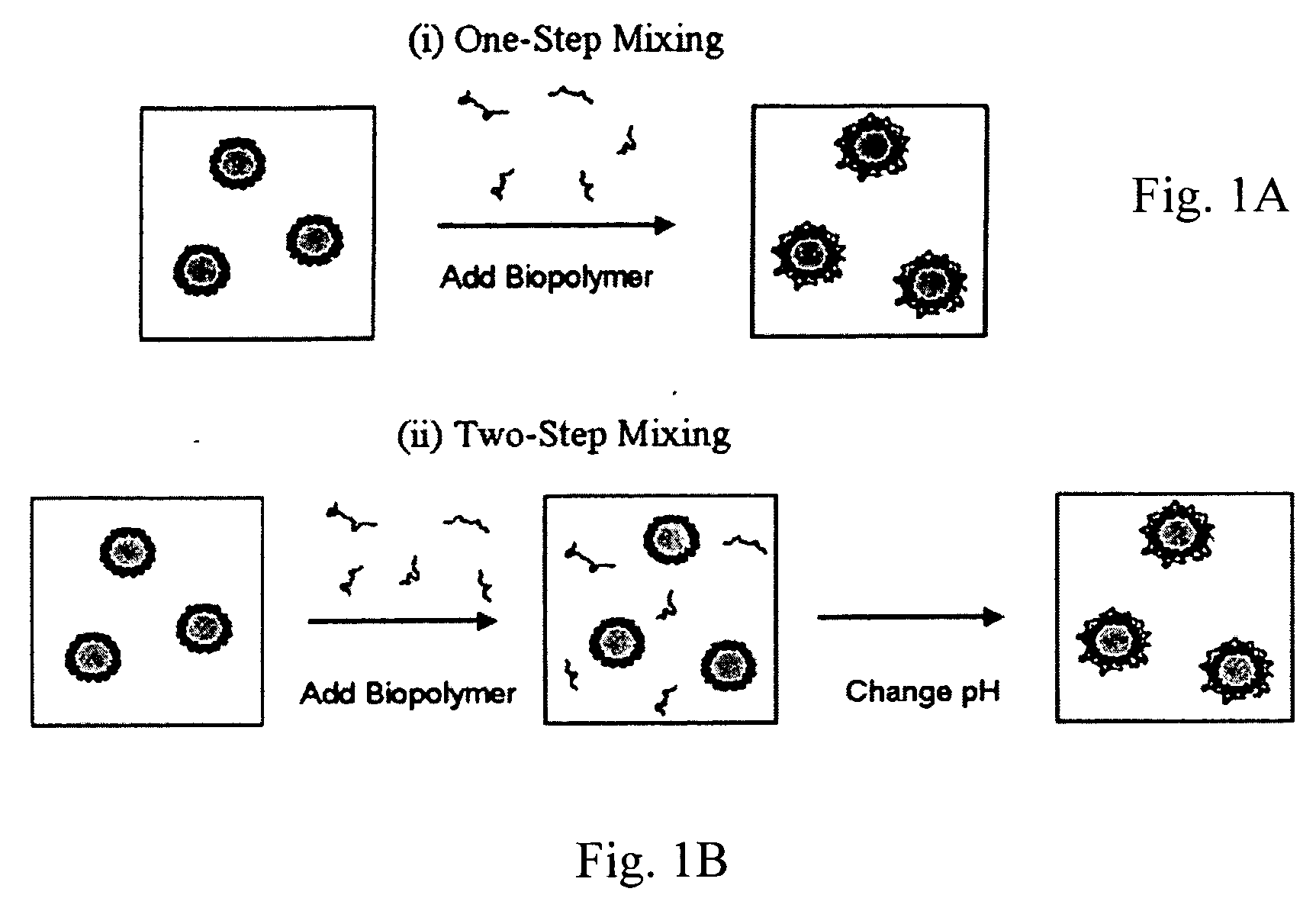 Stable acidic beverage emulsions and methods of preparation