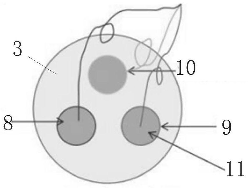 Low-cost water body nitrite concentration rapid detection system and method