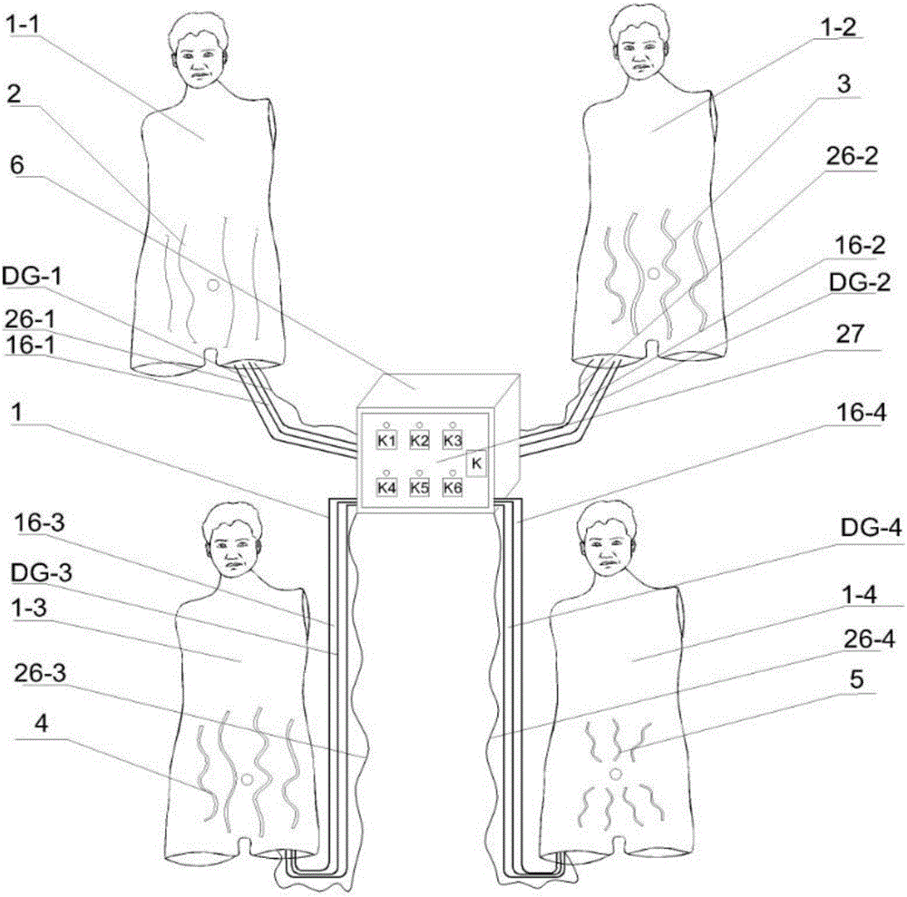 Full automatic vena epigastrica blood flow direction inspection standardized patient