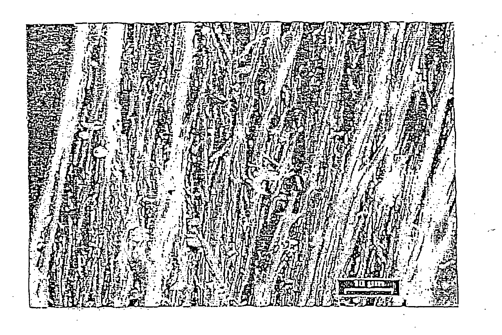 Production of pulp and materials utilizing pulp from fibrous proteins