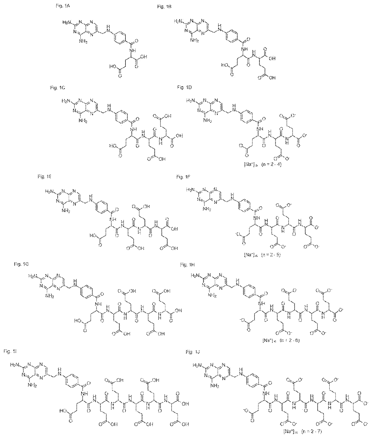 Alpha polyglutamated aminopterin and uses thereof