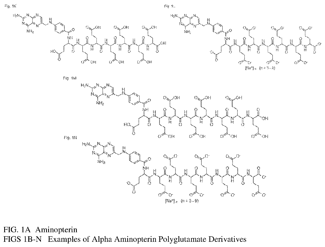 Alpha polyglutamated aminopterin and uses thereof