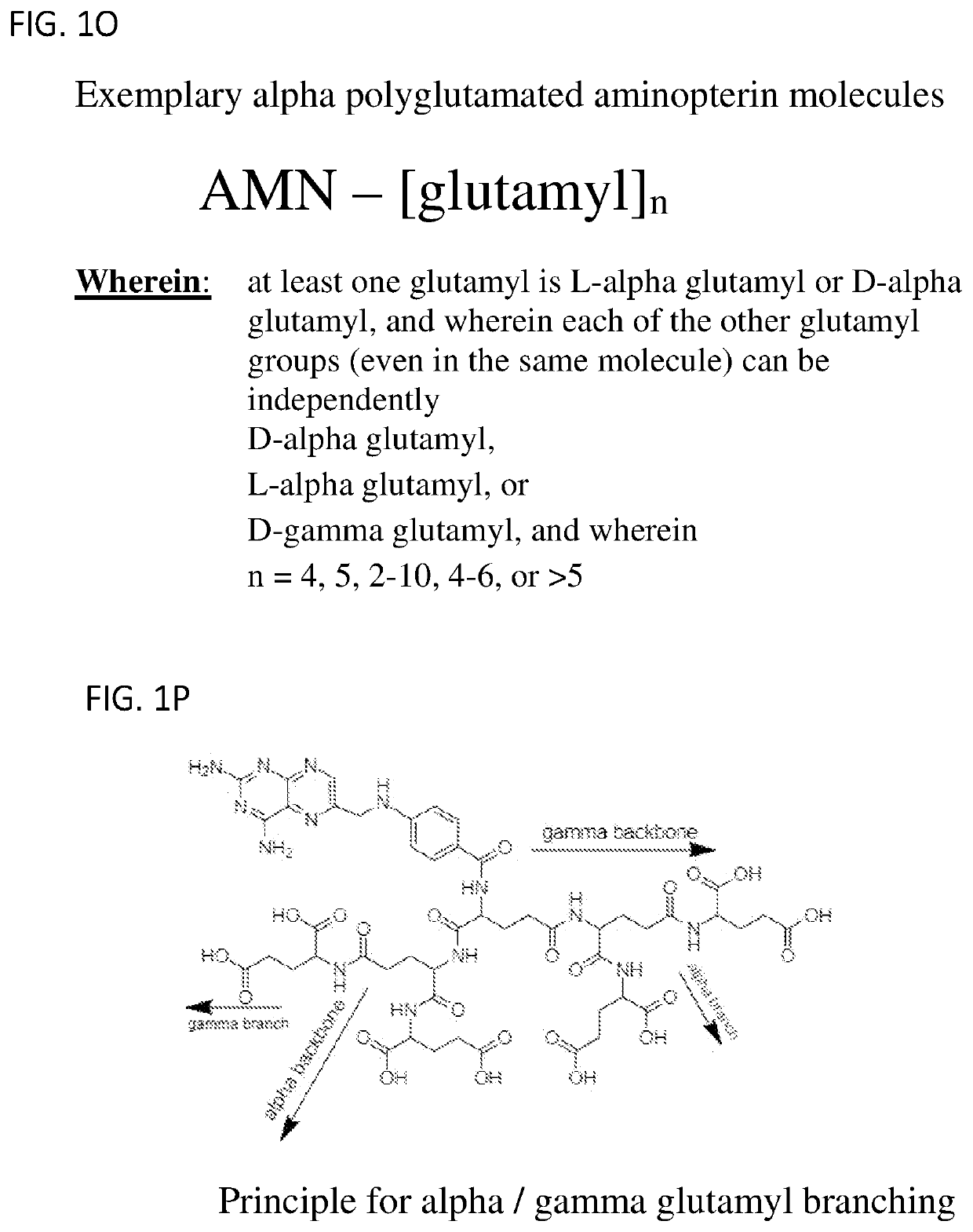 Alpha polyglutamated aminopterin and uses thereof