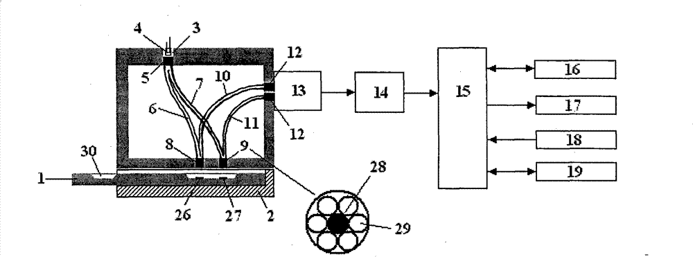 System for quantitative detection of quanta dot mark test bar and detection method thereof