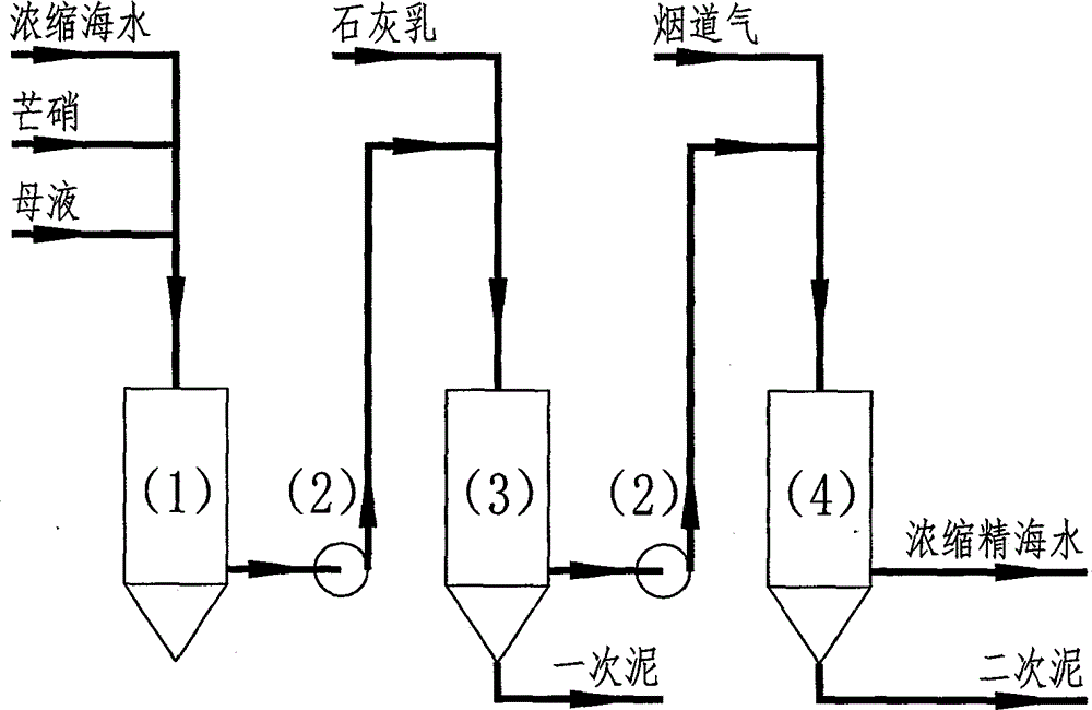 Methods for removing calcium and magnesium and co-producing water and salt by low-cost process during sea water desalination