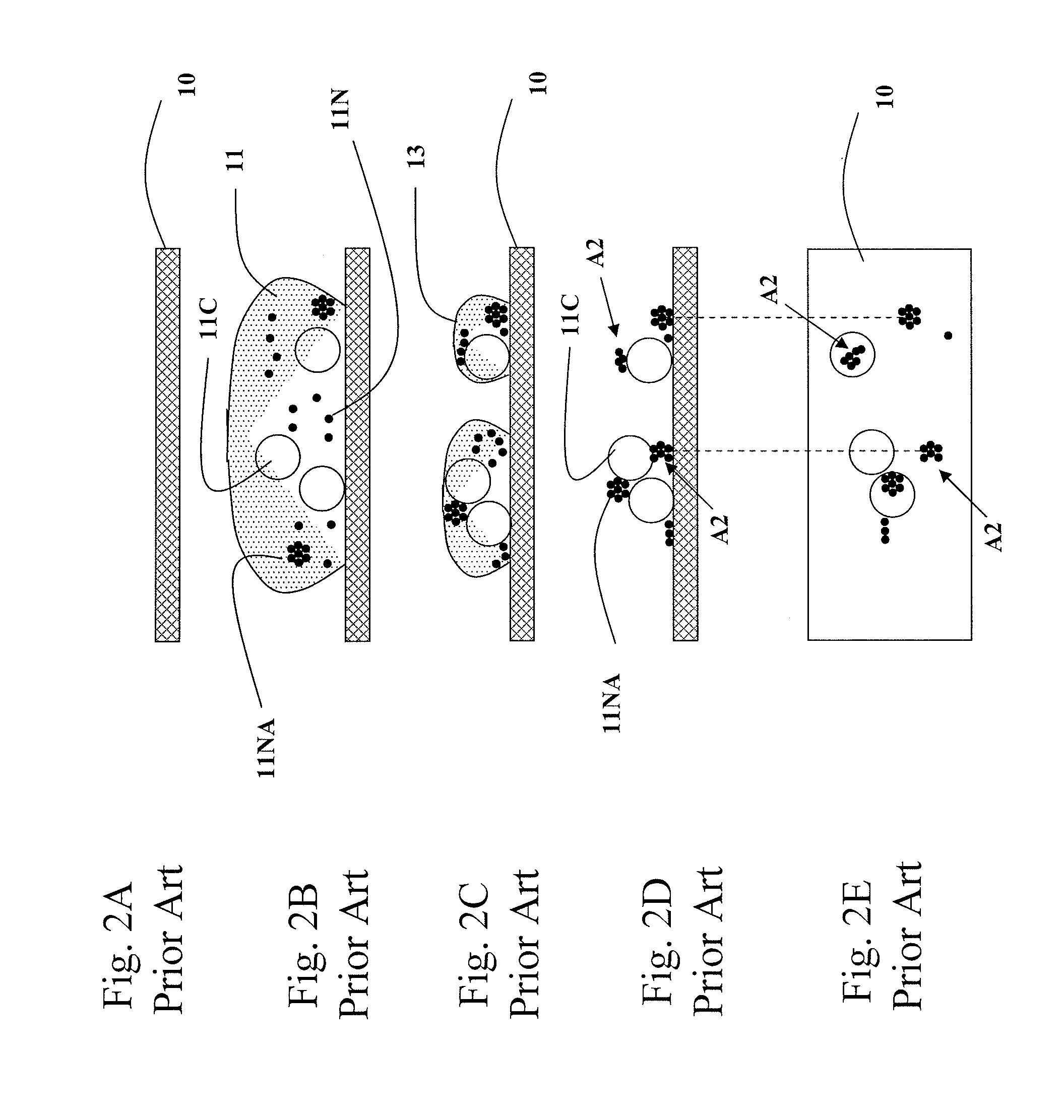 Specimen preparation for transmission electron microscopy