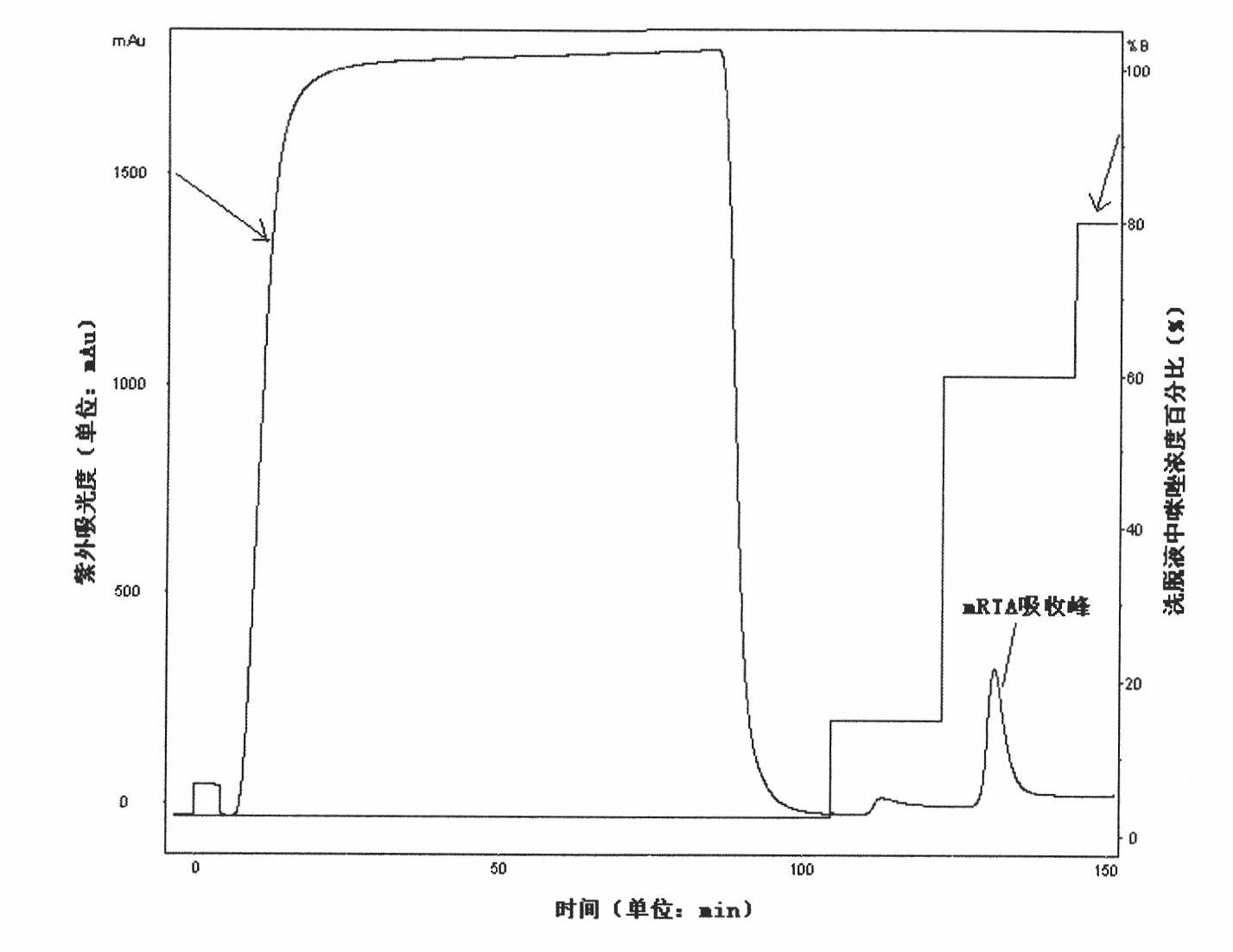 Construction of recin A chain mutant and application of recin A chain mutant as candidate vaccine antigen