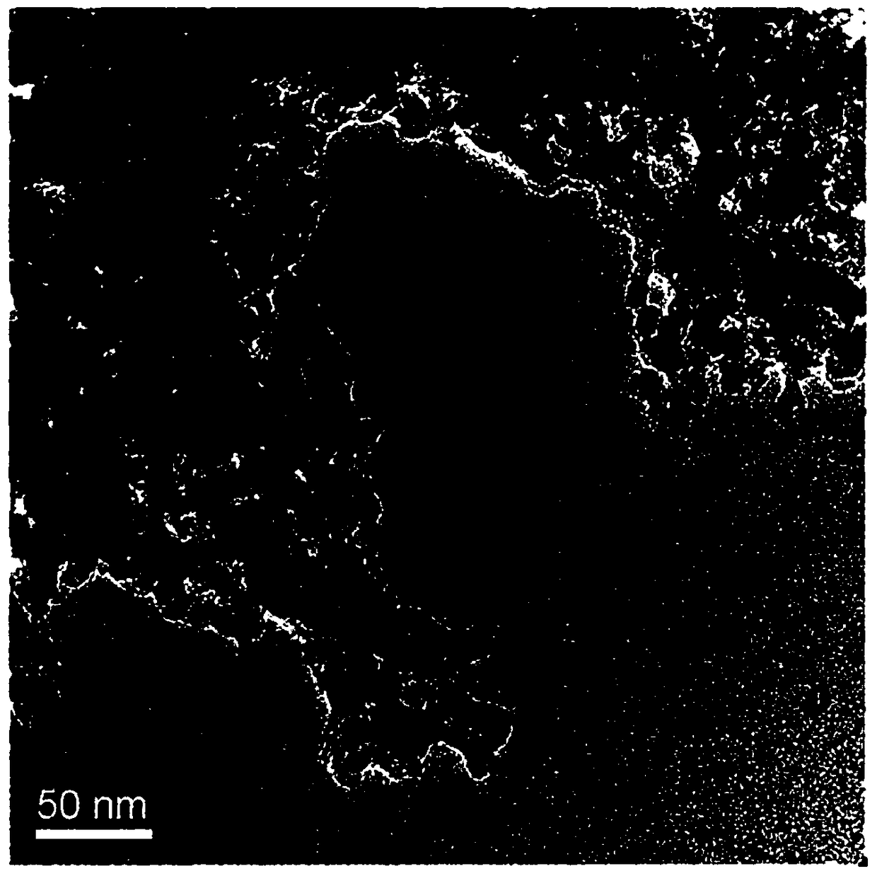 Multi-drug-carrying targeted nanoparticle and preparation method and application thereof