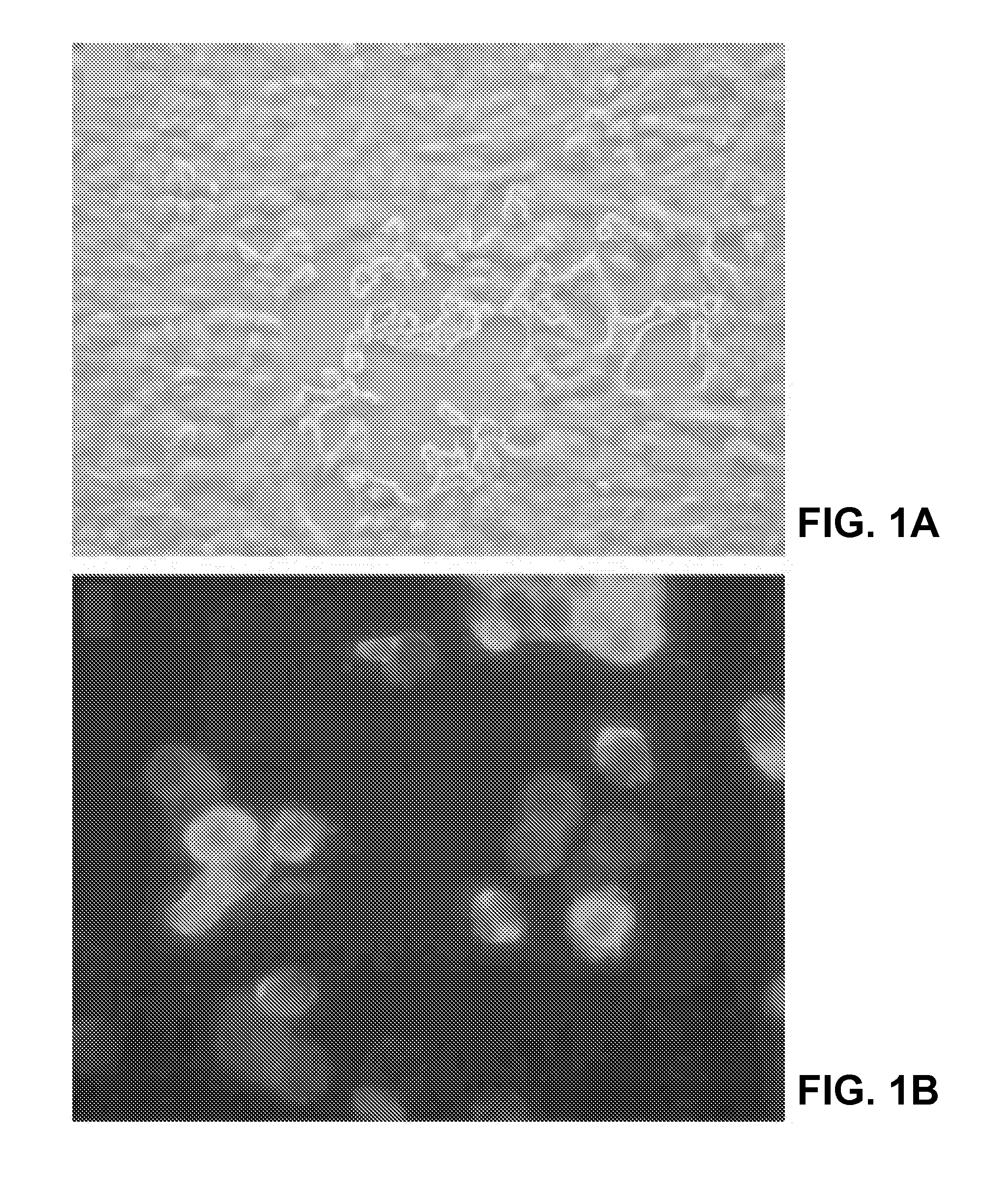 Coronavirus isolated from humans