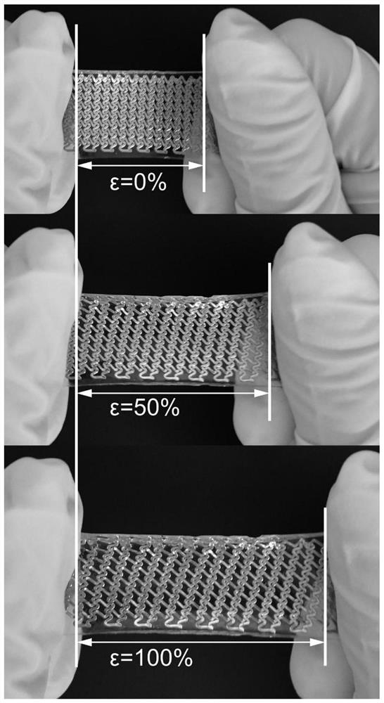 Preparation method of hydrogel flexible strain sensor with resistance-capacitance dual modes and sensor