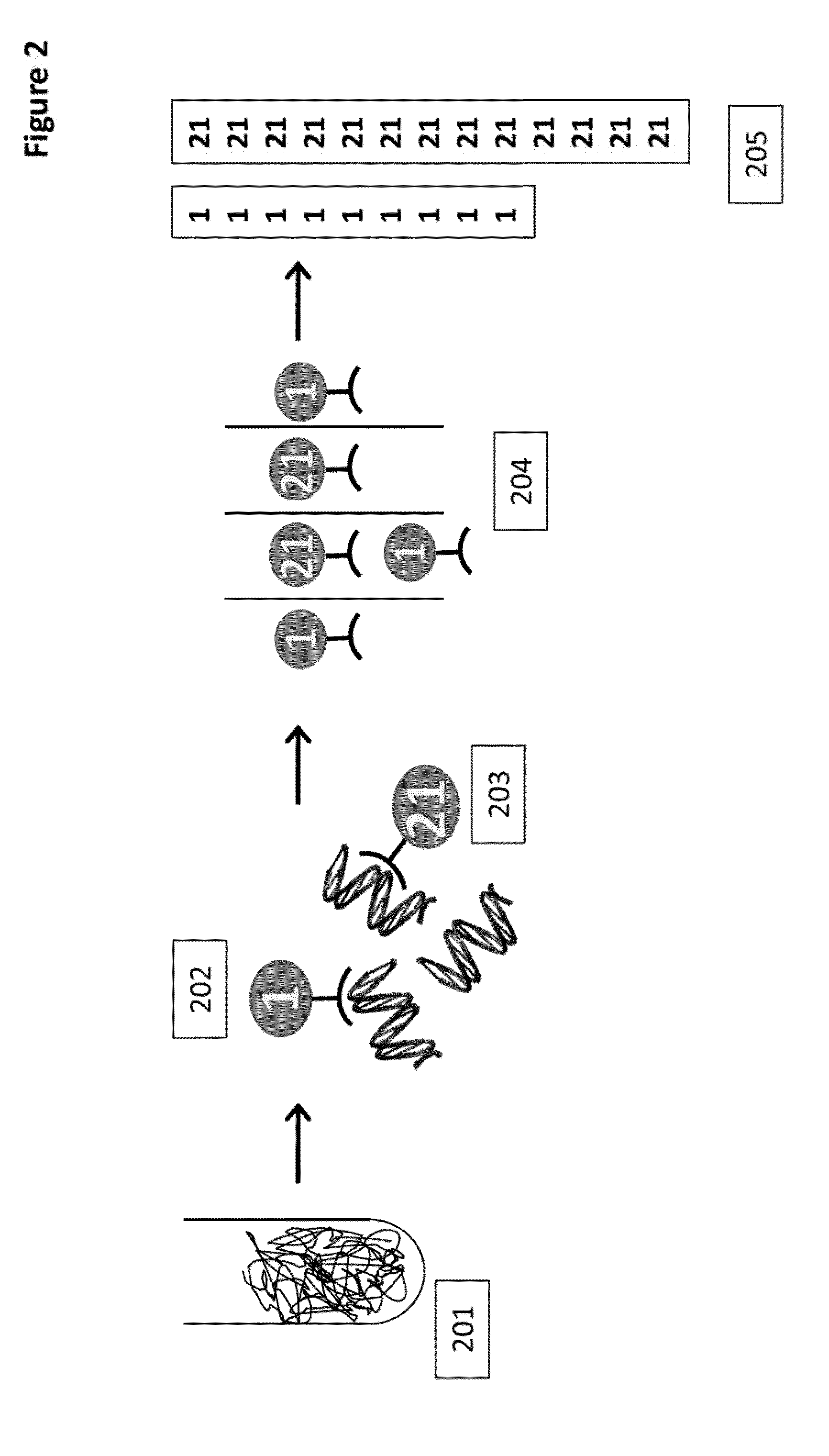 Methods and compositions for detecting genetic material